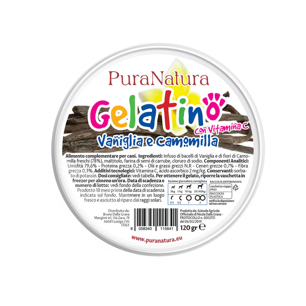 gelato per cani naturale, snack estivo per cani, gelato alla vaniglia per cani, gelato cane senza lattosio, rinfrescante cani estate, Pura Natura cane