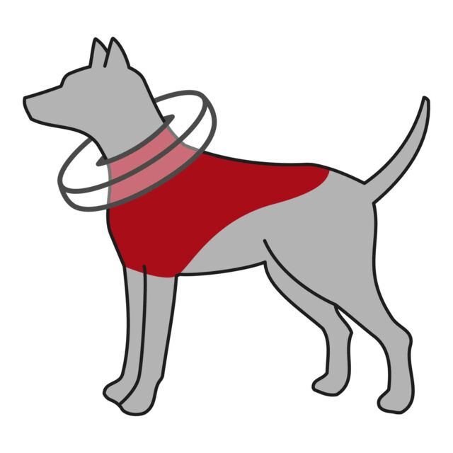 Trixie - Collare Elisabettiano Gonfiabile di protezione per Cani