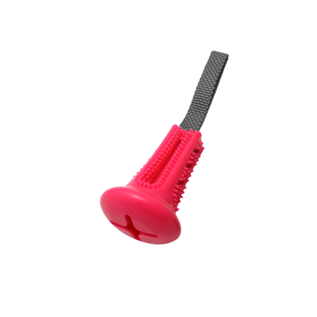 Gimborn - Gioco per Cani con Texture per Igiene Orale In&Out Stick Gimdog 11 cm