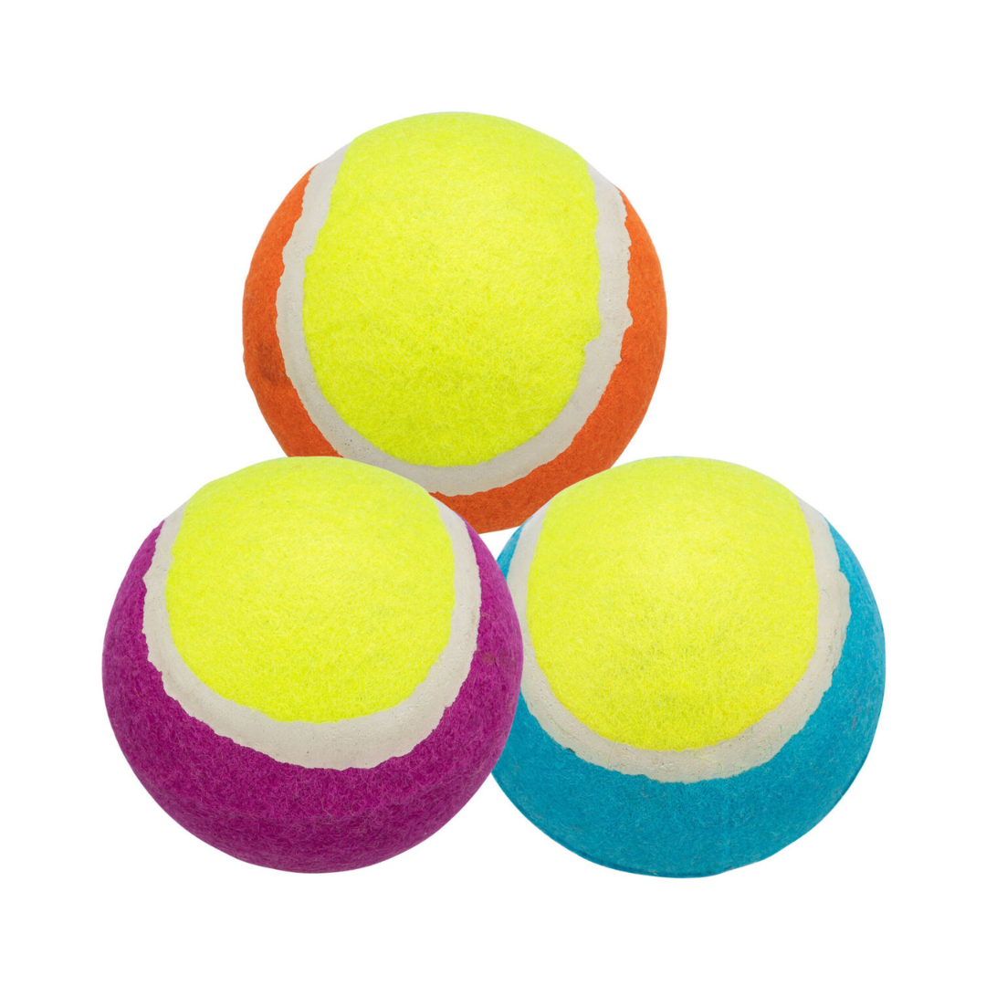 gioco cane, palla cane, palla da tennis per cani, pallina da tennis cane, pallina per cani, palla gioco cane, giochi per cani, palla per gioco del riporto, pallina cane per lancio e riporto, palla cane senza fibre di vetro, gioco cane da esterno, pallina da tennis specifica per cani