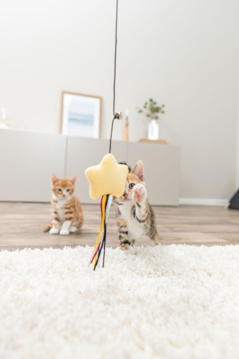 Gioco Gatto, canna da pesca per gatti, canna gioco gatto, gioco gatto con stella, canna da pesca gatto con campanellino, gioco interattivo per gatti, giochi per gatti con campanellino, gioco peluche gatto, canna per gatti 46 cm, gioco per stimolare il gatto, giochi interattivi gatto