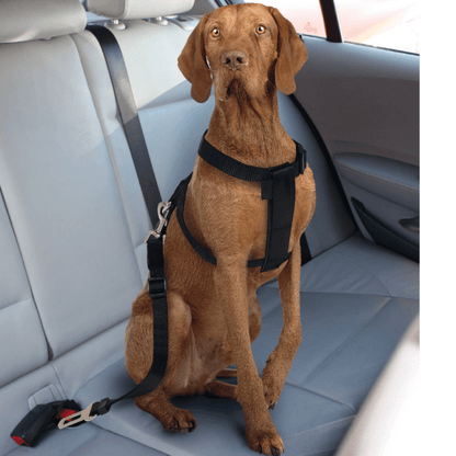 Fuss-Dog - Pettorina di Sicurezza per auto