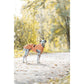 impermeabile cane Trixie, Trixie Vimy arancione, impermeabile per cani arancione, cappottino impermeabile cane, impermeabile cane antivento, Trixie impermeabile cane, cappotto pioggia cane, giacca impermeabile cane, impermeabile cane con pettorina, impermeabile cane con parti riflettenti, cappottino cane Trixie Vimy, abbigliamento cane pioggia, impermeabile cane regolabile