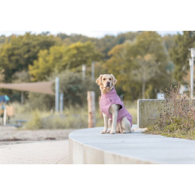 impermeabile cane Trixie, Trixie Vimy rosa, impermeabile per cani rosa, cappottino impermeabile cane, impermeabile cane antivento, Trixie impermeabile cane, cappotto pioggia cane, giacca impermeabile cane, impermeabile cane con pettorina, impermeabile cane con parti riflettenti, cappottino cane Trixie Vimy, abbigliamento cane pioggia, impermeabile cane regolabile