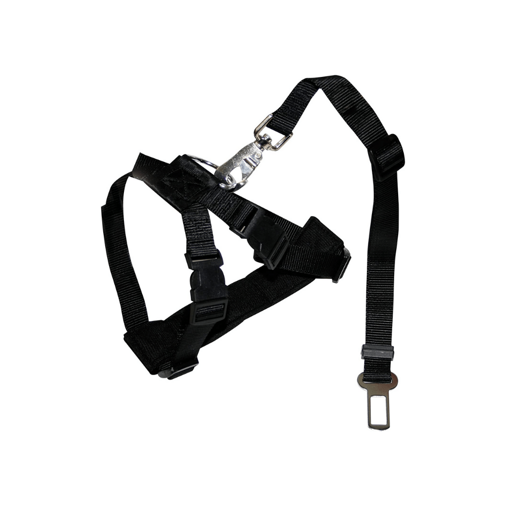 Pettorina per bambini Redini per bambini per bambini Ragazzi Pettorina per camminare 1-3 anni Zaino per bambini con redini Pettorina da passeggio Redini per bambini Ragazzi Ragazze Verde Pettorina per bambini Redini per bambini per bambini Ragazzi Pettorina per camminare 1-3 anni Zaino per bambini con redini Pettorina da passeggio Redini per bambini Ragazzi Ragazze Verde