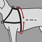 Trixie - Pettorina per Cani Anti Tiro per una Passeggiata Sicura e Confortevole Lead'n' Walk Soft