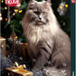 Trixie - Calendario dell’Avvento Premium per Gatti Merry Christmas