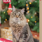 Trixie - Calendario dell’Avvento per Gatti