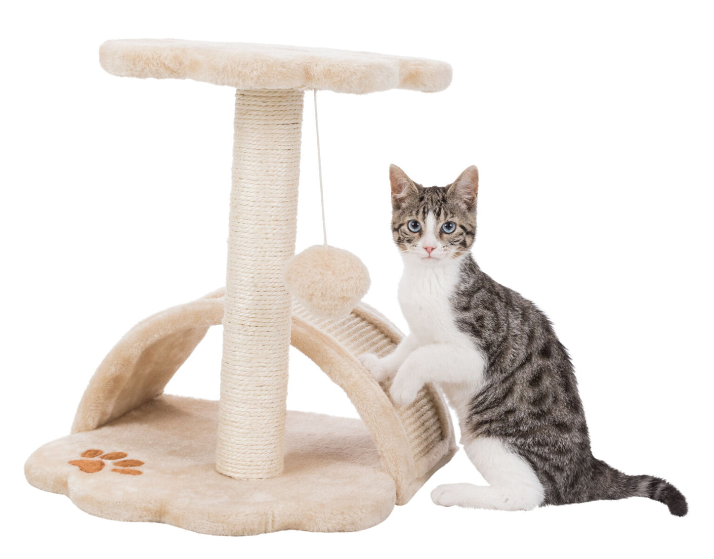 Trixie - Tiragraffi Vitoria Junior per Gatti 36 x 43 x 36 cm