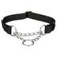Trixie - Collare Premium a semi-strangolo a regolazione continua in Poliestere e Metallo per Cani
