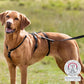 Trixie - Pettorina Antipanico a Prova di Fuga per Cani Stay