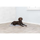 Trixie - Tappetino Rinfrescante Rettangolare per Cani di color Grigio