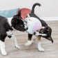 Trixie - Gioco Orsetto in Peluche Junior per Cani Cuccioli