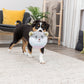 Trixie - Gioco Orsetto in Peluche Junior per Cani Cuccioli