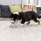 Trixie - Gioco Orsetto in Peluche Junior per Cani Cuccioli