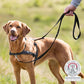 Trixie - Pettorina per Cani Anti Tiro per una Passeggiata Sicura e Confortevole Lead'n' Walk Soft