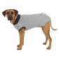 Trixie - Body Protettivo in Cotone per Cani con Lesioni e Ferite OP-Body