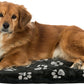 Trixie - Jimmy Cuscino Ovale Materasso Imbottito con Cerniera Zip Cuccia Sfoderabile per Cani e Gatti