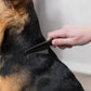 Trixie - Pettine Rimuovi Pulci e Polvere per Cani e Gatti