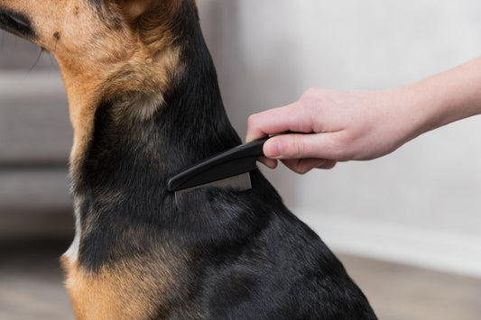 Trixie Pettine per Pulci e Polvere per Cani e Gatti 2410