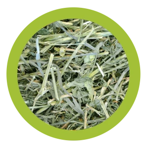 fieno con erba medica per conigli, fieno Paglianatura naturale, fieno ricco di proteine per roditori, fieno per conigli giovani, fieno 1,3 kg con erba medica, alimento naturale per conigli e cavie, fieno italiano per piccoli animali, cibo ricco di fibre per roditori, Paglianatura fieno con erba medica