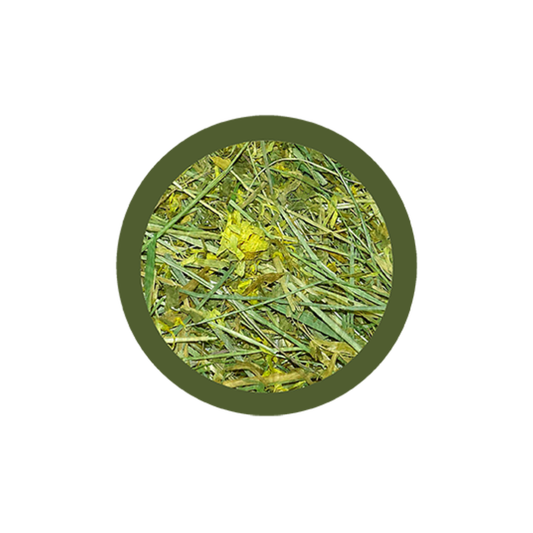 fieno per conigli, fieno conigli, fieno per coniglio, fieno coniglio nano, paglianatura fieno, coniglietto nano, coniglietti nani, fieno di montagna per conigli, fieno con tarassaco coniglio, paglianatura fieno 700 g, fieno box dispenser roditori, alimentazione naturale coniglio