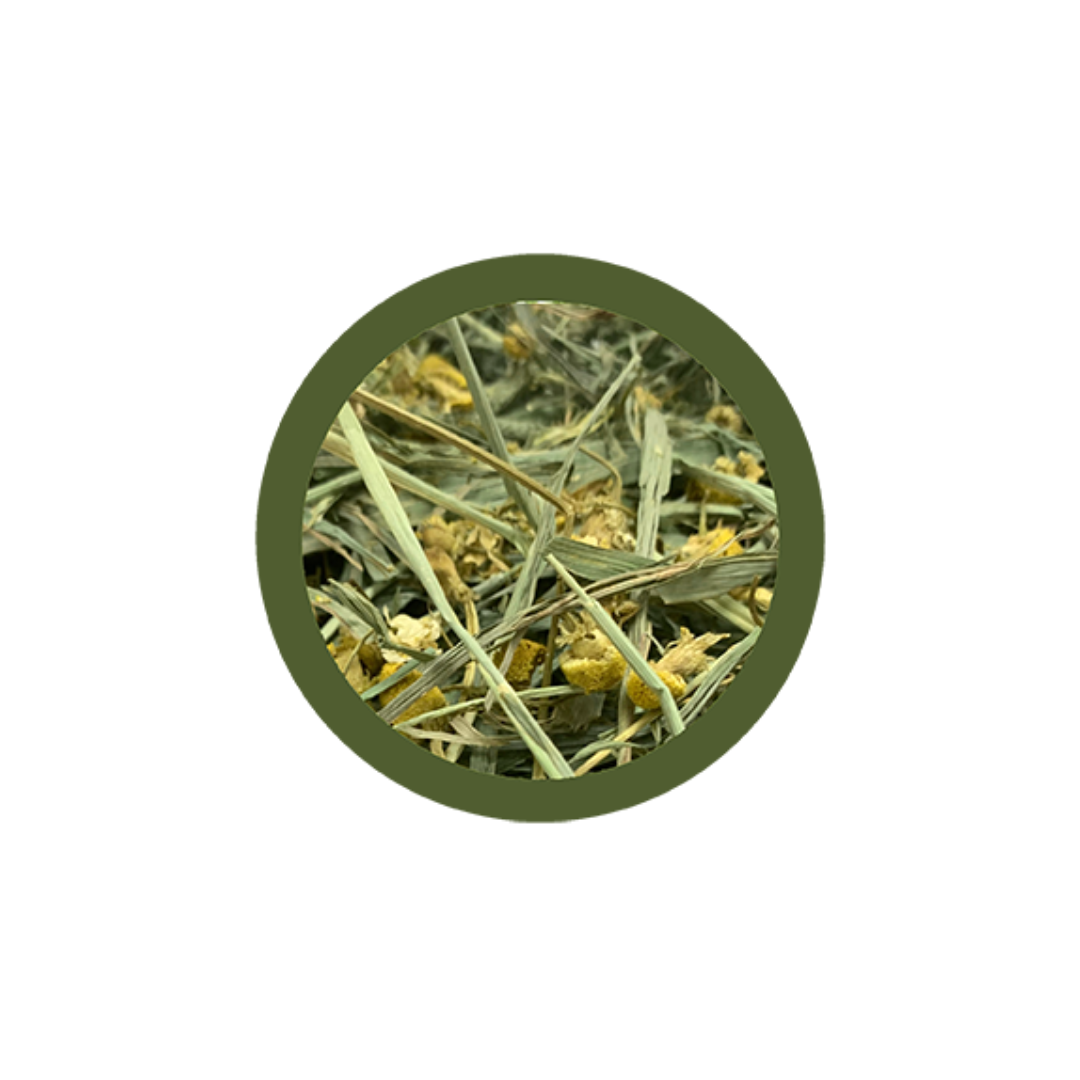 fieno per conigli nani, fieno conigli, fieno per coniglio, fieno coniglio nano, paglianatura fieno, coniglietto nano, coniglietti nani, fieno di montagna per conigli, fieno con camomilla coniglio, paglianatura fieno 700 g, fieno box dispenser roditori, alimentazione naturale coniglio