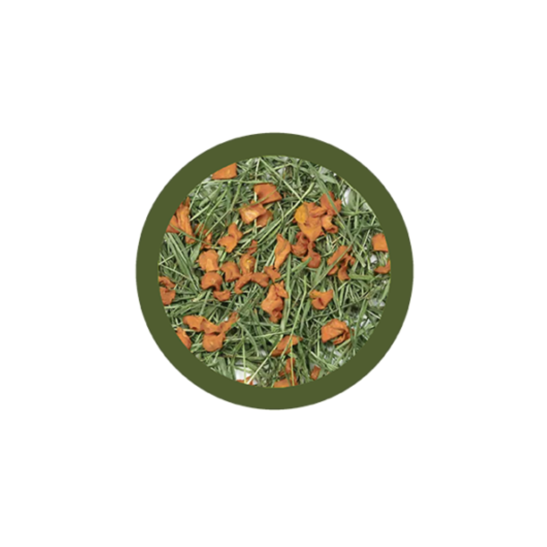 fieno per conigli, fieno conigli, fieno per coniglio, fieno coniglio nano, paglianatura fieno, coniglietto nano, coniglietti nani, fieno di montagna per conigli, fieno con carote coniglio, paglianatura fieno 700 g, fieno box dispenser roditori, alimentazione naturale coniglio