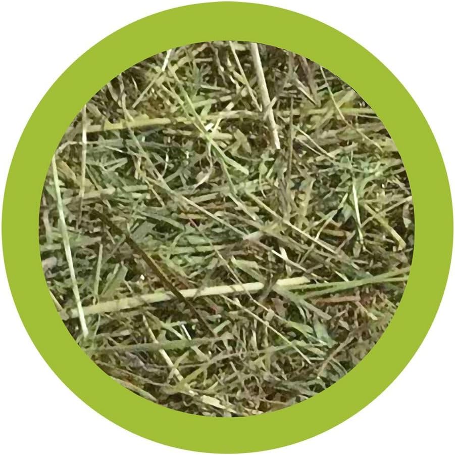 fieno per conigli nani, fieno di prato naturale Paglianatura, fieno per cavie e roditori, fieno 1,3 kg per conigli, cibo naturale per conigli e piccoli animali, fieno ricco di fibre per roditori, fieno per conigli italiani, alimentazione sana per conigli, fieno Paglianatura conigli