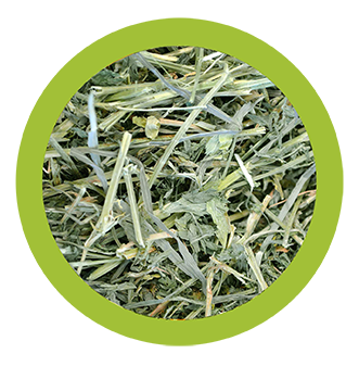 fieno di prato per conigli, fieno naturale Paglianatura, fieno per cavie e roditori, fieno 1,3 kg per conigli, cibo naturale per conigli e piccoli animali, fieno ricco di fibre per roditori, fieno per conigli italiani, alimentazione sana per conigli, fieno Paglianatura conigli