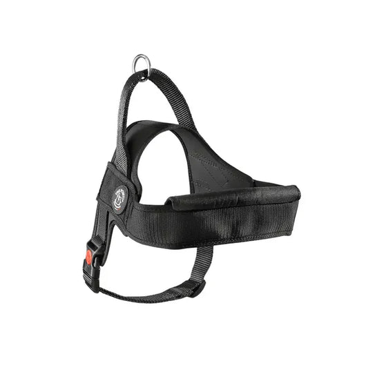 pettorina cane tre ponti, pettorina cane grande taglia, pettorina tre ponti cane, pettorina con maniglia cane, pettorina imbottita cane, pettorina regolabile cane, pettorina sicurezza cane, pettorina resistente cane, pettorina Made in Italy cane