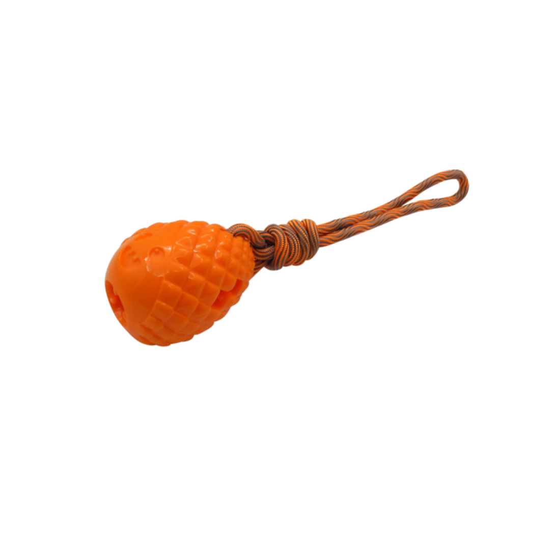 Gimborn - Gioco per Cani Happy Pigna Gimdog con Corda
