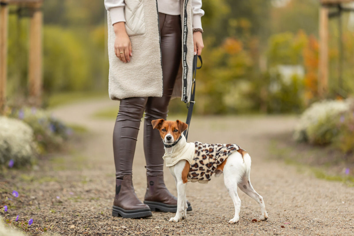 piumino cane Trixie, cappotto cane, cappottino cane, Trixie Ajou, Trixie Ajou leopardato, cappottino cane leopardato, piumino per cani, cappottino cane imbottito, cappotto cane invernale, Trixie cappottino Limited Edition, abbigliamento cane leopardato, piumino cane caldo, cappottino cane poliestere, cappottino cane con chiusura a strappo, giacca cane leopardata, cappottino invernale cane