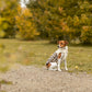 piumino cane Trixie, cappotto cane, cappottino cane, Trixie Ajou, Trixie Ajou leopardato, cappottino cane leopardato, piumino per cani, cappottino cane imbottito, cappotto cane invernale, Trixie cappottino Limited Edition, abbigliamento cane leopardato, piumino cane caldo, cappottino cane poliestere, cappottino cane con chiusura a strappo, giacca cane leopardata, cappottino invernale cane