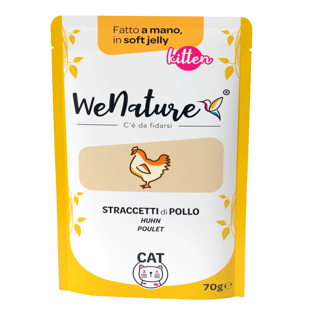 We Nature - Bustine di Umido Naturale Fatto a Mano in Gelatina Cotto al Vapore per Gatti Cuccioli Jelly Kitten 70g