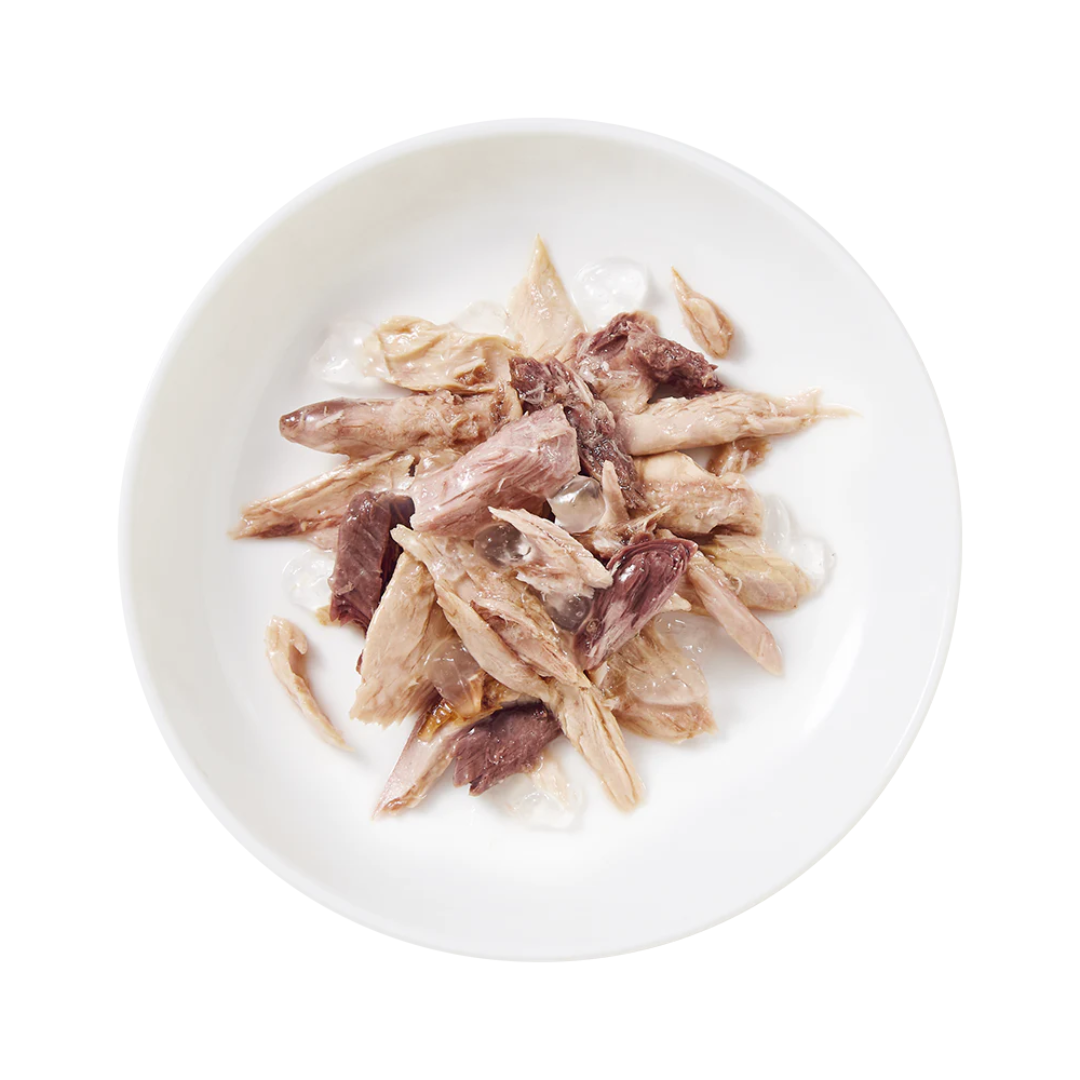 Schesir Gatto Fillet in Jelly, umido complementare per gatti, busta umido gatto Schesir, filetti in gelatina gatto, cibo naturale per gatti adulti, Schesir 70g
