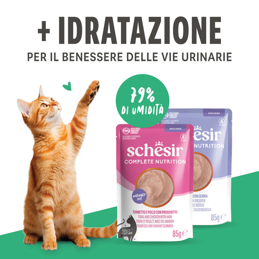 Schesir Umido Gatto, Schesir vellutata, Schesir Vellutate, Schesir mousse gatto 85g, umido Schesir gatto mousse, cibo umido gatto tonnetto e salmone, alimento completo gatto Schesir, mousse gatto alta qualità, umido gatto ricco di proteine, Schesir gatto senza conservanti, cibo gatto idratazione, alimento umido gatto naturale, mousse gatto 85g