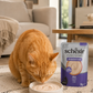 Schesir Umido Gatto, Vellutate, Vellutata, Schesir Vellutata, Schesir Functions gatto, Schesir Functions mousse, Schesir mousse gatto 70g, umido gatto Schesir Functions, mousse gatto completa e bilanciata, alimento umido gatto nutrizione funzionale, Schesir Digestive gatto, Schesir Hairball gatto, Schesir Urinary gatto, Schesir Oral Comfort gatto, mousse gatto no grain, umido gatto senza cereali, alimento gatto con ingredienti funzionali