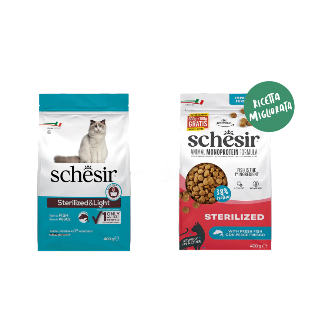 schesir gatto, schesir crocchette gatto, crocchette gatto sterilizzato, alimento monoproteico gatto sterilized, crocchette gatto prosciutto, cibo gatto senza cereali, crocchette gatto controllo peso, alimento gatto con L-Carnitina, crocchette gatto made in Italy, cibo secco gatto sterilizzato 400g, crocchette premium gatto sterilizzato