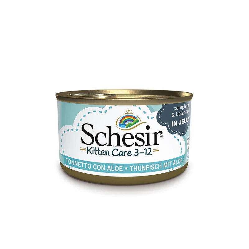 schesir gatto umido kitten care, con aloe, in jelly, umido gatto in gelatina