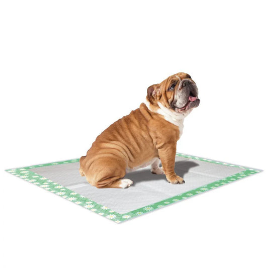 Croci - Tappetino Assorbente per Cani Super Nappy Daisy Profumato 57x54 cm 30 pezzi