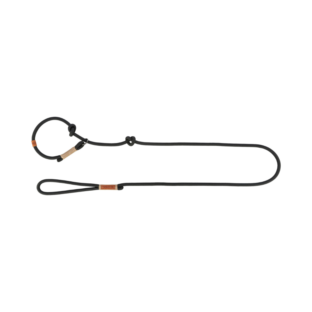 Trixie Be Nordic guinzaglio semistrangolo, Guinzaglio in corda tubolare cane, Guinzaglio nordico resistente per cani, Semistrangolo regolabile Be Nordic, Guinzaglio addestramento corda premium, Guinzaglio Be Nordic 170 cm, Accessori cane stile nordico