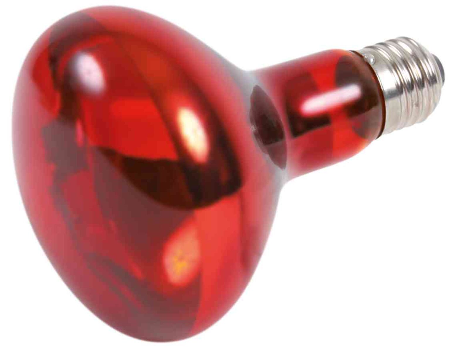 lampada spot infrarossi rettili 100W, lampada riscaldante terrario Trixie 100 watt, infrarossi con riflettore per tartarughe, lampada basking rettili UV-A/IR, lampada riscaldante permanete per rettili, lampada neodimio Trixie rettili infrarossi, riflettore NR80 lampada per terrario