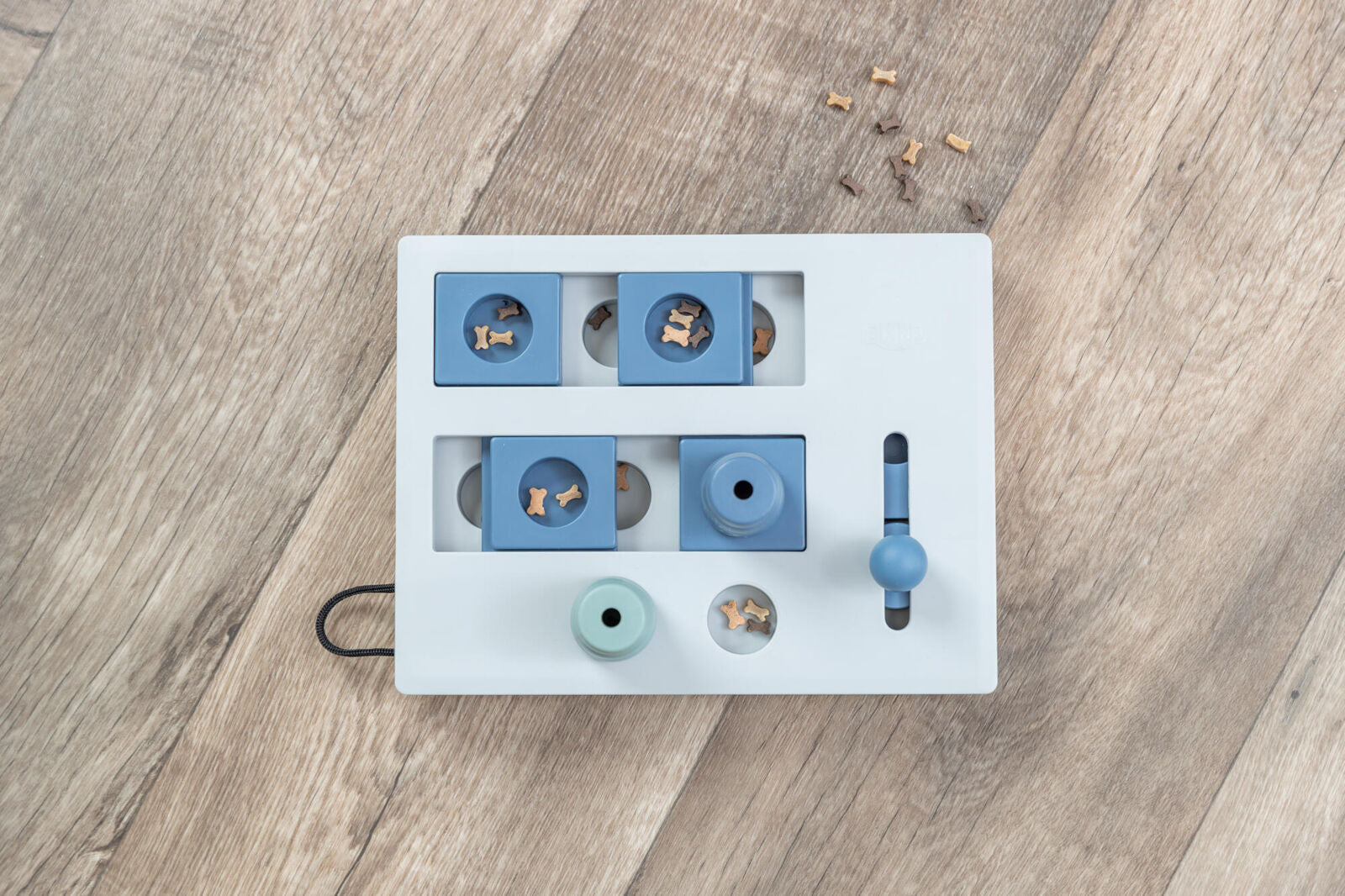 Trixie Mini Mover Gioco di Strategia Interattivo per Cani, Attivazione Mentale Livello 3, Gioco per Cani, Gioco per Cane, Giochi per cane, Giochi per cani