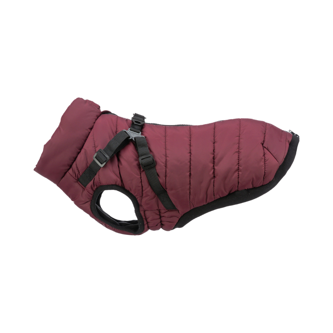 trixie pirou piumino cane, giubbotto cane impermeabile, piumino con pettorina integrata cane, cappottino invernale per cani trixie, abbigliamento cani inverno, giubbetto imbottito cane