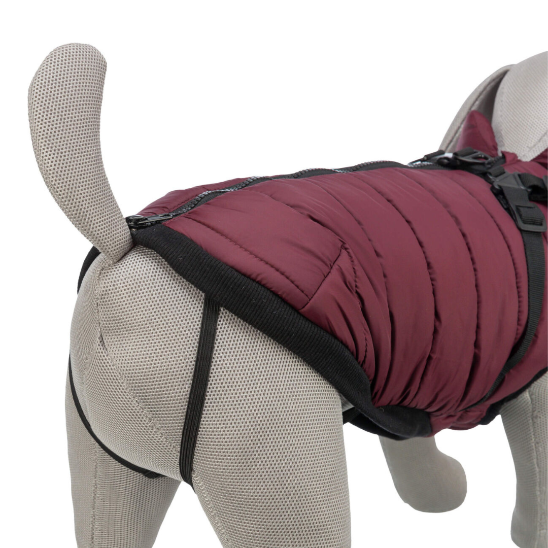 trixie pirou piumino cane, giubbotto cane impermeabile, piumino con pettorina integrata cane, cappottino invernale per cani trixie, abbigliamento cani inverno, giubbetto imbottito cane