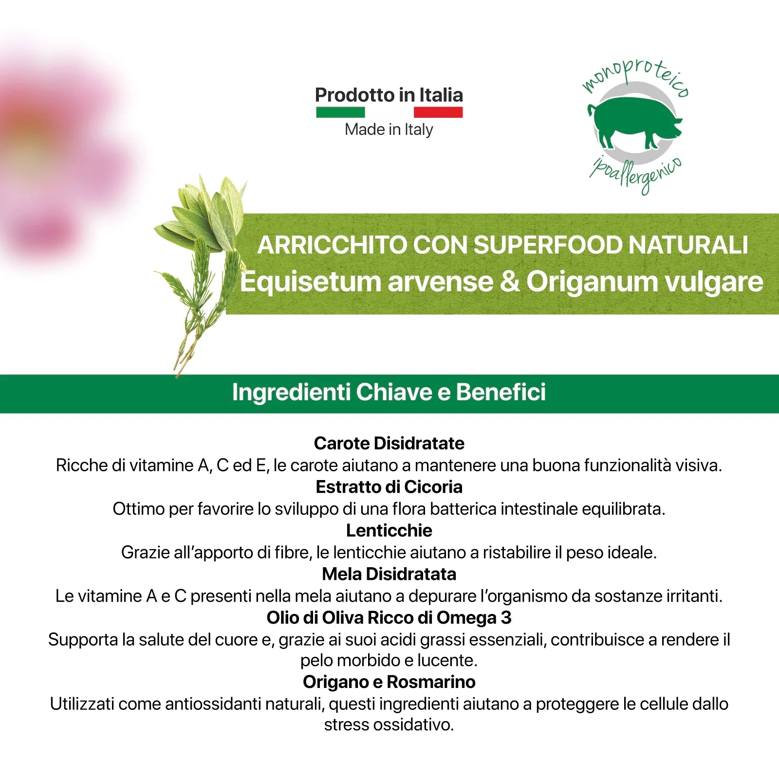 crocchette monoproteiche cane, crocchette monoproteiche al maiale, crocchette ipoallergeniche cane, alimento ipoallergenico cani, crocchette con omega 3 e omega 6, crocchette naturali made in Puglia, althea casale crocchette, crocchette per cani con intolleranze