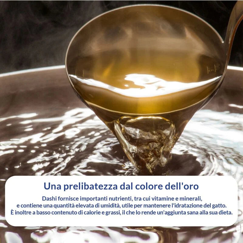 dashi delights gatto, silky broth, brodo dashi gatto pollo salmone, umido gatto umami 40g, snack liquido gatto idratazione, topping gatto brodo dashi, inaba ciao