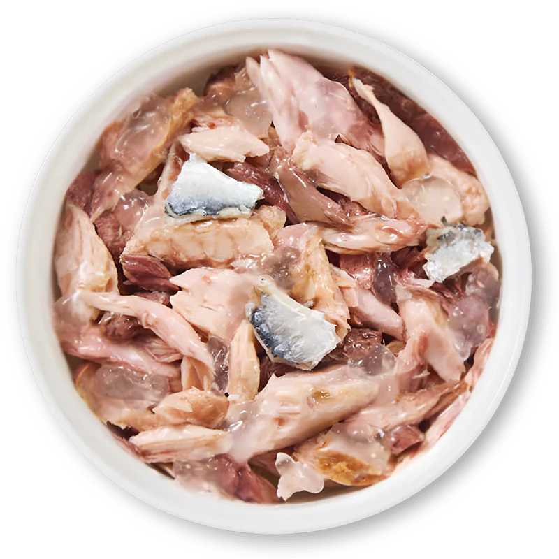 Schesir filetti in gelatina, umido completo gatti gelatina, Schesir Jelly gatto 85 g, umido naturale Schesir gatti, umido gatto, umido gatti