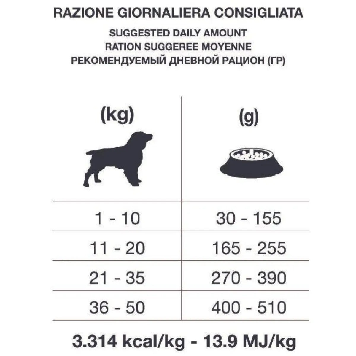 Forza10 - Crocchette per Cani con disturbi INTESTINALI Fase 1 AGNELLO e Sorgo Bianco Active Line Intestinal Colon Dott. Graziano Pengo